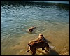DSCF1170.JPG