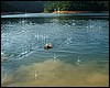 DSCF1193.JPG