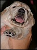 015a.jpg