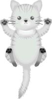 pp^o^