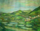 Cimg0019.jpg (27351 Ӧ줸)