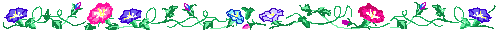 ߻Pz