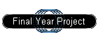 Final Year Project
