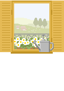 window