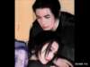 Photo Number 12