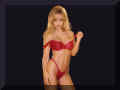 bikini006.jpg (38255 bytes)