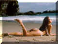 bikini024.jpg (180748 bytes)