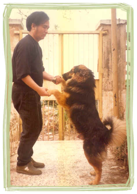 sc_dog.jpg (231813 bytes)
