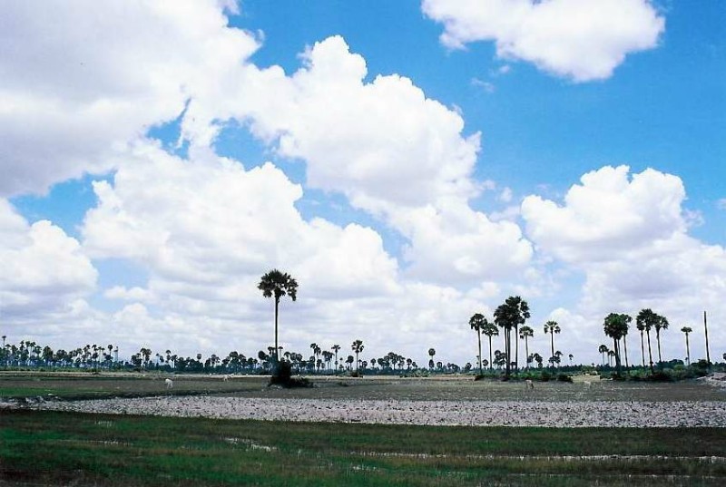../Images/cam9.jpg