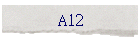 A12