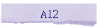 A12