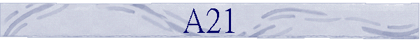 A21