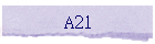 A21