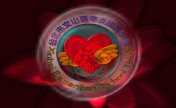 header image 2