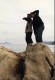 Thumbs/tn_5dp027.jpg