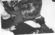 Thumbs/tn_5dp053.gif