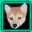 PUPPYM1.gif (3866 bytes)