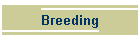Breeding