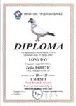 Click with mouse to Diploma-HTS-Fajdetic!