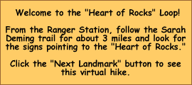 A Welcome Message