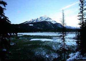 Kananmunasuo (Banff, Alberta 1.3.03)