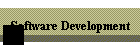 Software Development