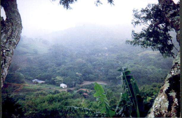 Piedades Norte