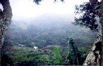 Piedades Norte