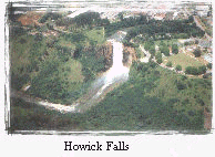 Howick falls.jpg