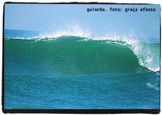 spot_guincho.JPG (32239 bytes)