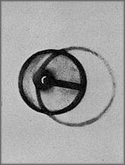 Left half taken from top