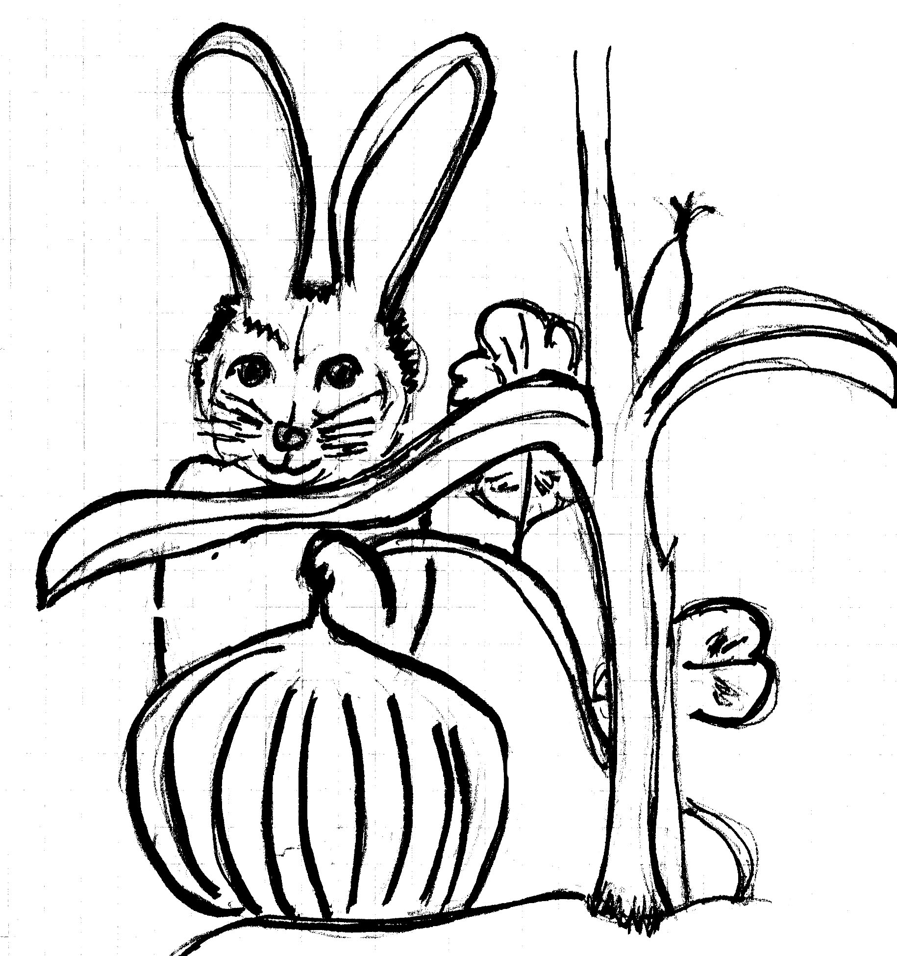 Illustration from book