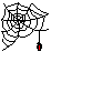 Bruce's Spider