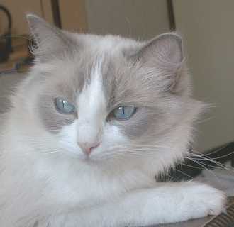 Lady Grace
