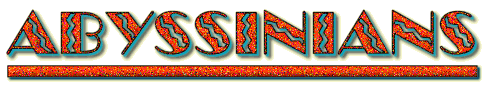 Abyssinians