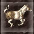 My Pony