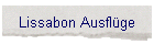 Lissabon Ausflge
