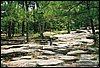 Stone Mountain