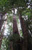 cal3.jpg (288697 bytes)