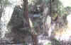 cal8.jpg (261379 bytes)