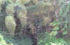 ff15.jpg (310674 bytes)