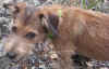 hi10.jpg (231564 bytes)