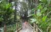 hi37.jpg (306551 bytes)