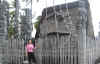 hi49.jpg (206147 bytes)