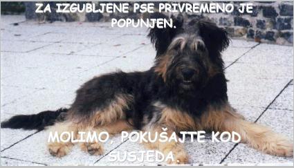 sadrzaj