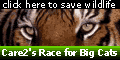 Save The Endangered Cats