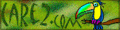 Save The Rainforest