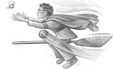 Quidditch Field - Play Quidditch Games!