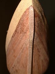 DSCF0129.JPG