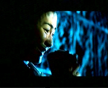 star13.jpg (66925 bytes)